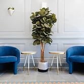 The King Street House by Kasa