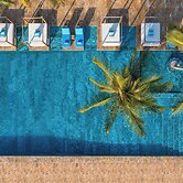Le Mersenne Zanzibar, Autograph Collection