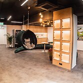 Dragons Dream Hostel