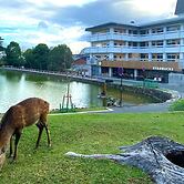 Hotel Tenpyo Naramachi