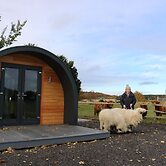 Glampods - 5 Berth Glamping Pod Elgin