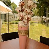 Vakantie Zuid Limburg