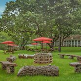 Ruschmeyers #3 - Queen