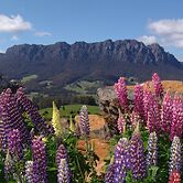 AAA Granary Accommodation