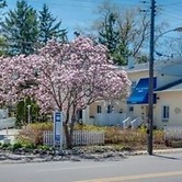 New Buffalo Inn & Spa