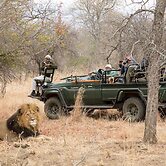 Karongwe Portfolio - Chisomo Safari Camp