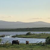 Shayamoya Tiger Fishing and Game Lodge