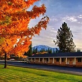Shasta Pines Motel & Suites