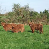 Glendine Country House