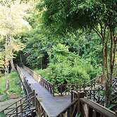 Tabin Wildlife Resort