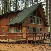 Woodland Escape - Cute Little Cabin in the Woods!