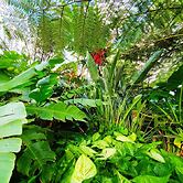 2BR Food Drink Hub Pool 2 Cars Gym Rooftop