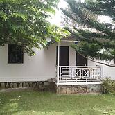 The Big Cat Den Resort