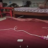 Bismillah Qadri Hotel