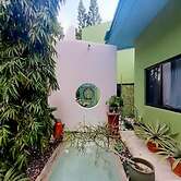 Unique Art Nature Hideaway Walkable to Wilton Drive