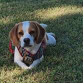 Koorawatha Homestead Motel