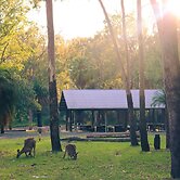 BIG4 Breeze Holiday Parks - Carnarvon Gorge