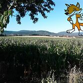 Monteurwohnung Langelsheim max 5 Personen