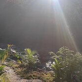 Glamping in Lechuza River