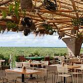 Siente Tulum Hotel & Cenote Club