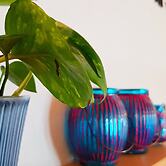 Lovely Bed House With one Room in Monsaraz Castle