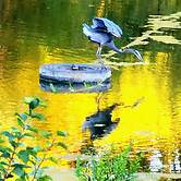 Extended Stay, the Premier Apt at 1906 Sanctuary of the Swan, Sleeps 4