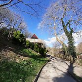 Hillside