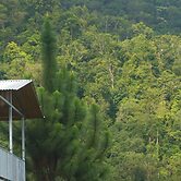 Native Baru Morpho Cabin