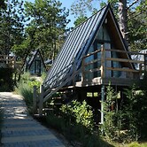 Nefes Dağyenice Doğada