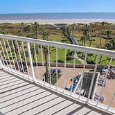 Galvestonian 409 - Pelican Pathway