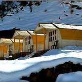 Auli Resort