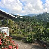 Neita's Nest - Jamaican Bed & Breakfast