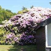 Nordsjællands Feriepark & Camping