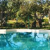 la corte degli ulivi