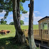 Gaerhyfryd Static Caravan