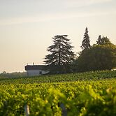 VANDENBELD Wines B&B