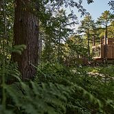 Treeloft Adventure in Nature for 4 People 13