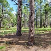 Ponderosa Retreat 4 Bedroom Home by Redawning