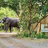 Makakatana Bay Lodge