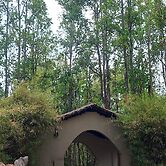 Saccharum Safari Lodge