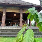 Kampung Coklat Jembrana