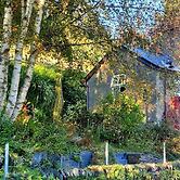 Bodorwel Cottage, Next to Ffestiniog Railway