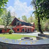 Adrak Mountain Mist Forest Resort