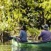 Ferns Hideaway Resort