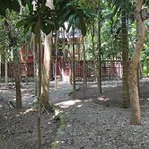 Homocation Sikhiri Cottages