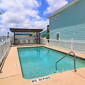 Gbc19-surfin' Seahorse