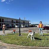 Motel Boutique by Wolf Inn