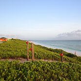 The Ocean Dream Beach Resort