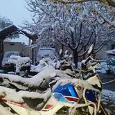 Complexe Collier D'Ambre