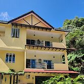 Arundina Cameron Highlands